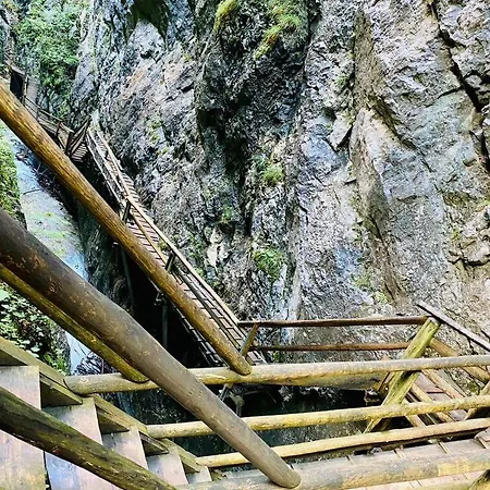 Alpenliebe * Windischgarsten